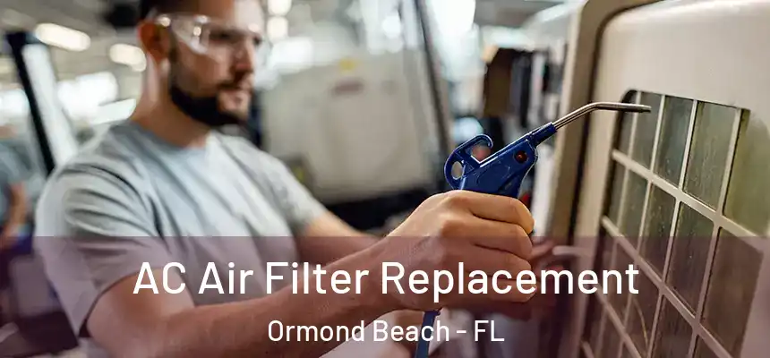 AC Air Filter Replacement Ormond Beach - FL