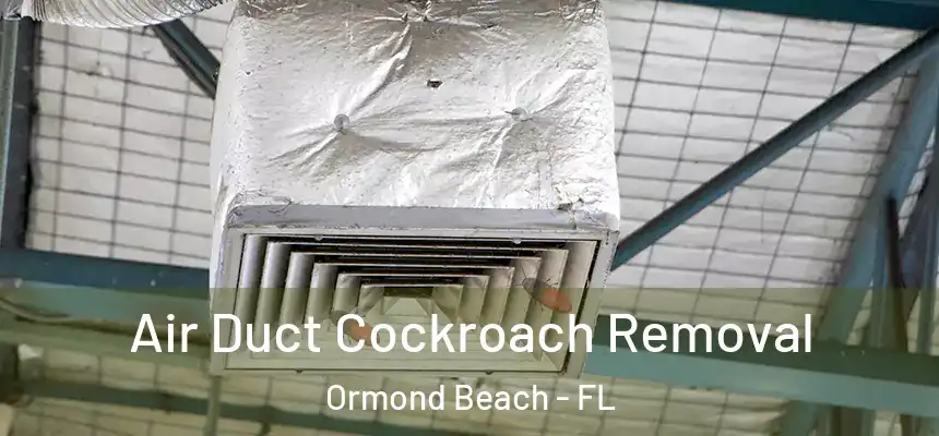 Air Duct Cockroach Removal Ormond Beach - FL