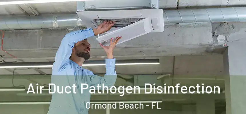 Air Duct Pathogen Disinfection Ormond Beach - FL