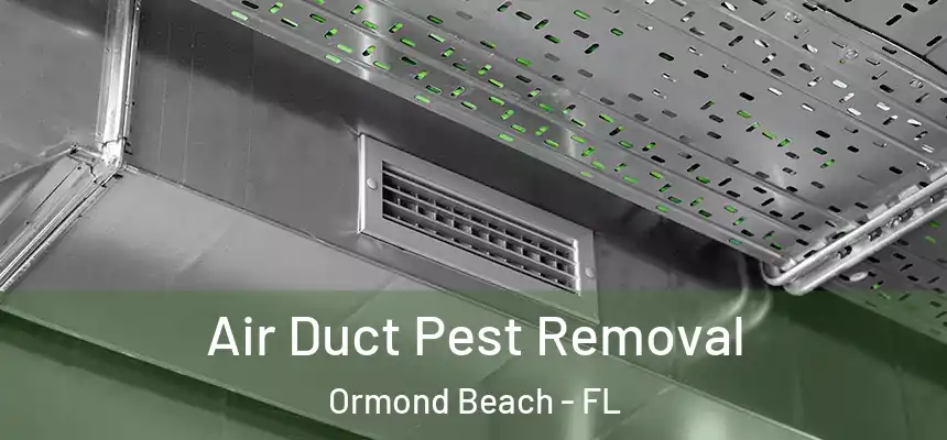 Air Duct Pest Removal Ormond Beach - FL