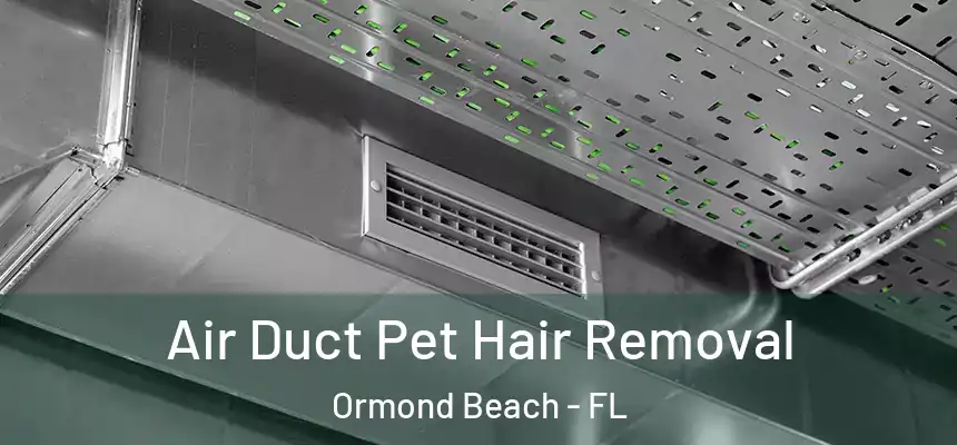 Air Duct Pet Hair Removal Ormond Beach - FL