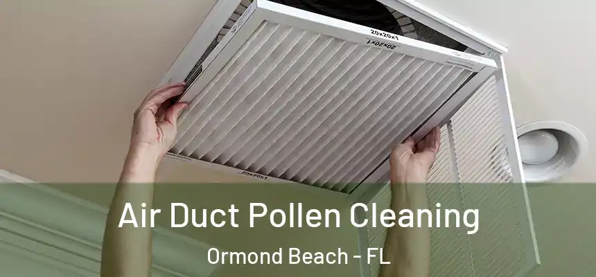 Air Duct Pollen Cleaning Ormond Beach - FL