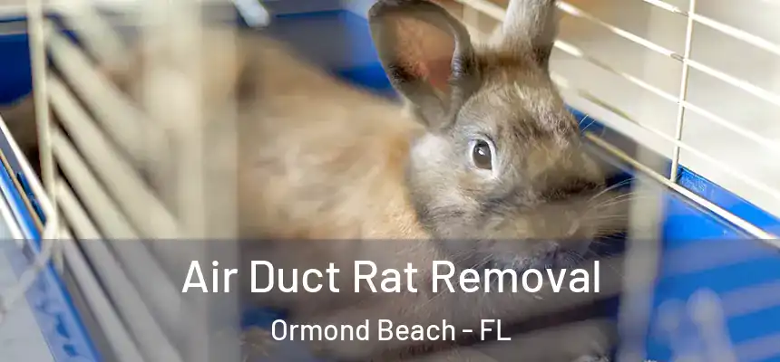 Air Duct Rat Removal Ormond Beach - FL