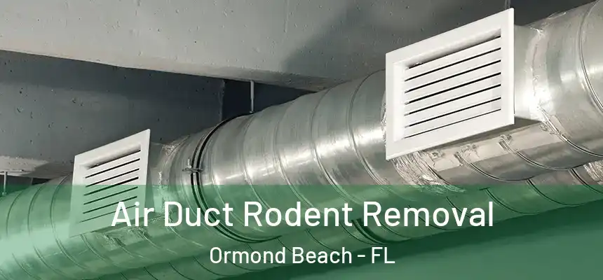 Air Duct Rodent Removal Ormond Beach - FL