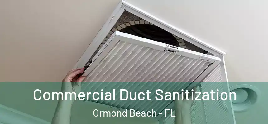 Commercial Duct Sanitization Ormond Beach - FL
