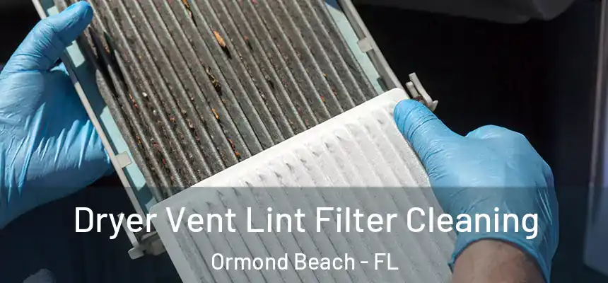 Dryer Vent Lint Filter Cleaning Ormond Beach - FL