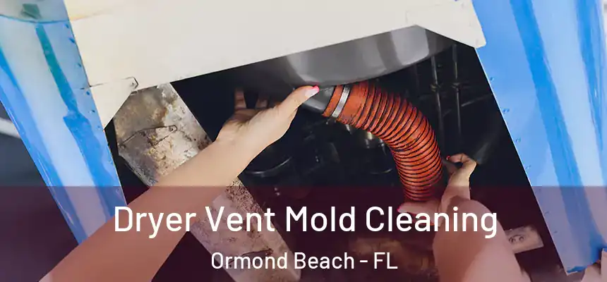 Dryer Vent Mold Cleaning Ormond Beach - FL
