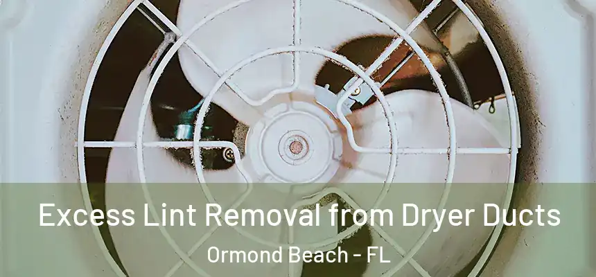 Excess Lint Removal from Dryer Ducts Ormond Beach - FL