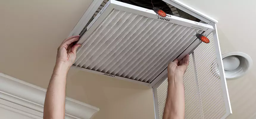 Our Insect Removal from Air Ducts Services in Ormond Beach, FL