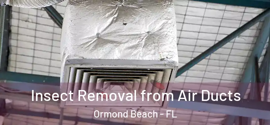 Insect Removal from Air Ducts Ormond Beach - FL