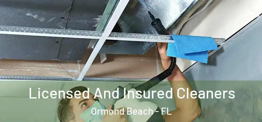Licensed And Insured Cleaners Ormond Beach - FL