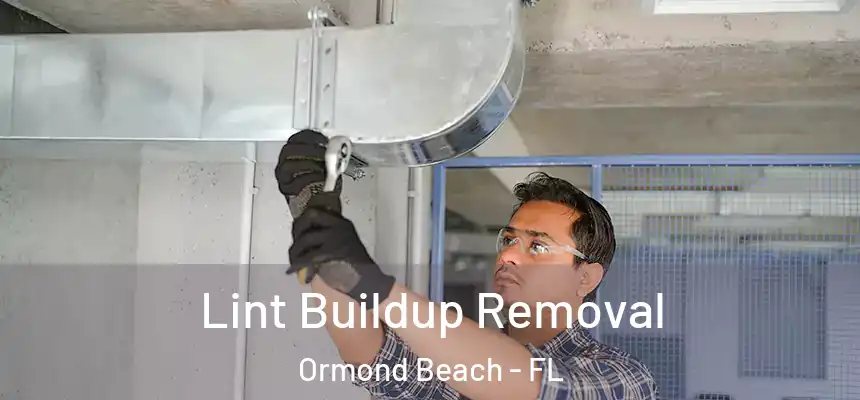 Lint Buildup Removal Ormond Beach - FL