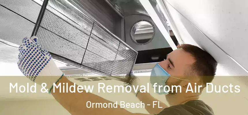 Mold & Mildew Removal from Air Ducts Ormond Beach - FL