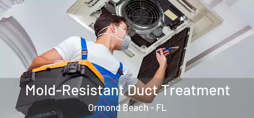 Mold-Resistant Duct Treatment Ormond Beach - FL