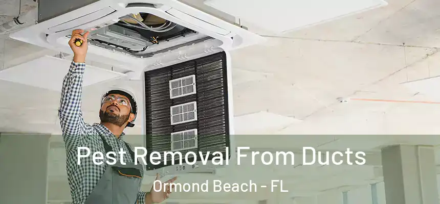 Pest Removal From Ducts Ormond Beach - FL