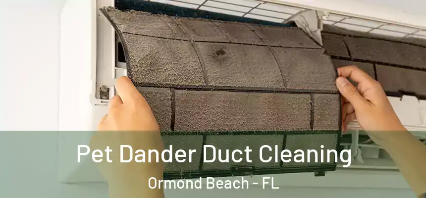 Pet Dander Duct Cleaning Ormond Beach - FL