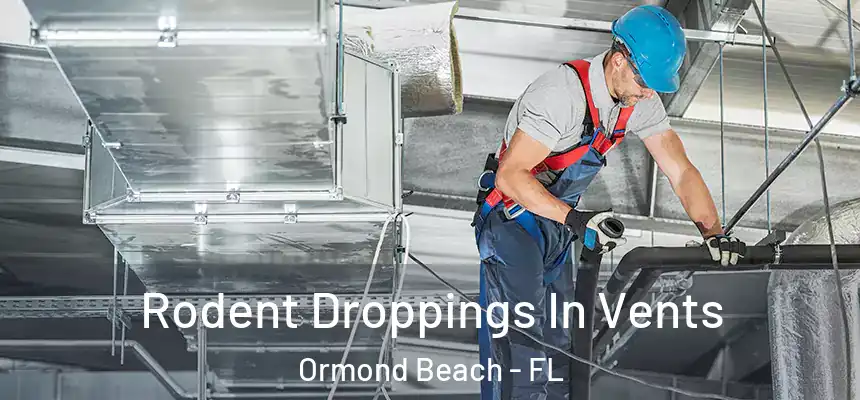 Rodent Droppings In Vents Ormond Beach - FL