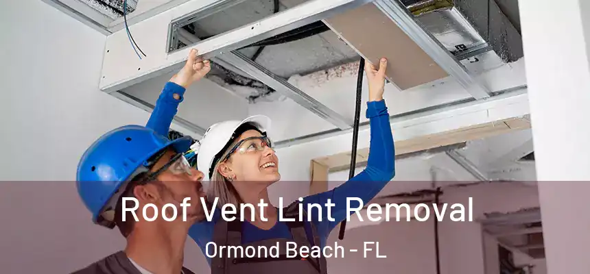 Roof Vent Lint Removal Ormond Beach - FL