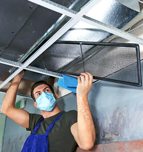 About Air Duct Bacteria Removal in Ormond Beach