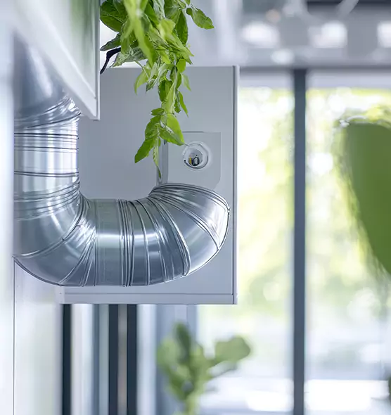 Professional Eco-Friendly Duct Cleaning Services in Ormond Beach, FL