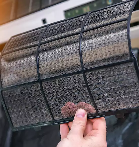 About Pet Dander Duct Cleaning in Ormond Beach, FL